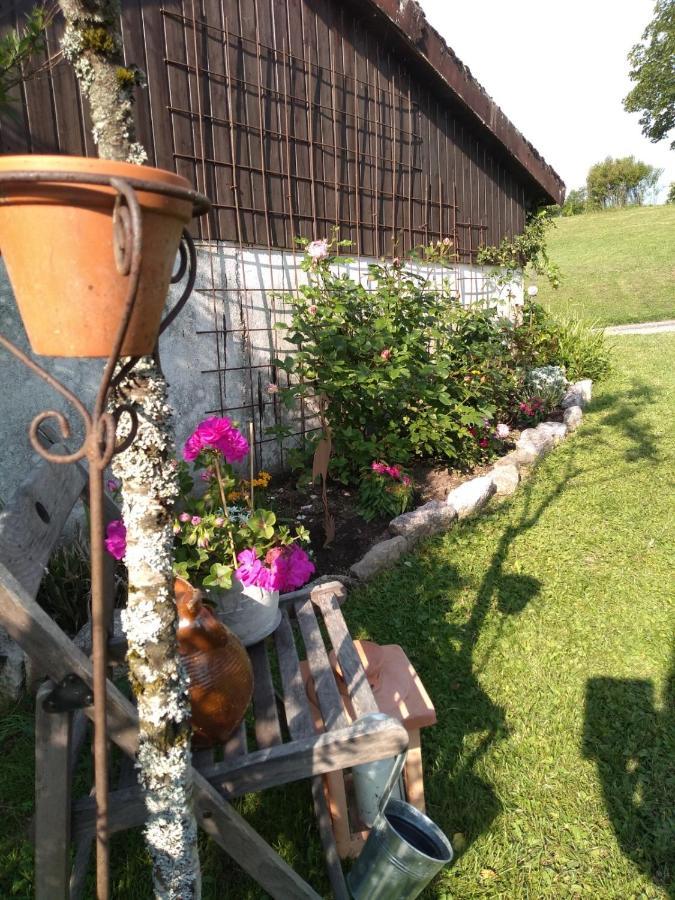 Kim'S Cottage Gorwihl المظهر الخارجي الصورة